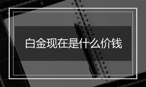 白金现在是什么价钱