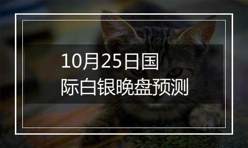 10月25日国际白银晚盘预测