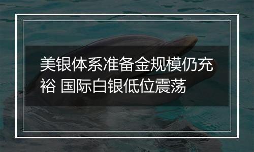 美银体系准备金规模仍充裕 国际白银低位震荡