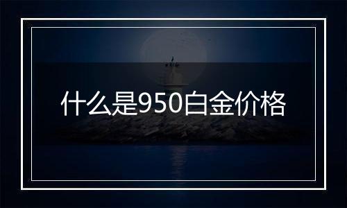 什么是950白金价格