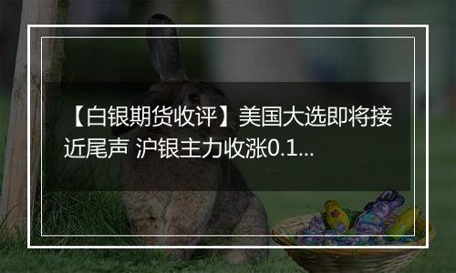 【白银期货收评】美国大选即将接近尾声 沪银主力收涨0.16%