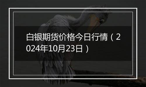 白银期货价格今日行情（2024年10月23日）