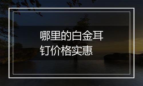 哪里的白金耳钉价格实惠