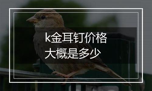 k金耳钉价格大概是多少