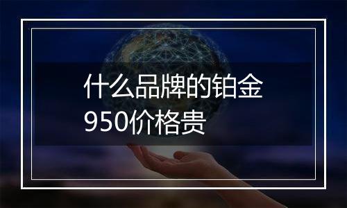 什么品牌的铂金950价格贵