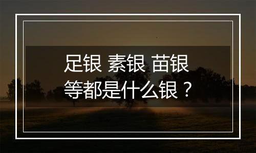 足银 素银 苗银等都是什么银？