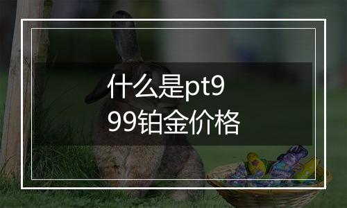 什么是pt999铂金价格