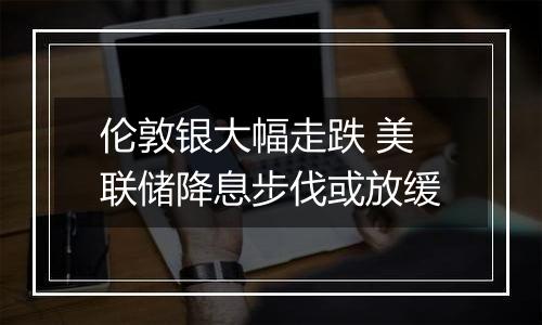 伦敦银大幅走跌 美联储降息步伐或放缓