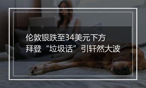 伦敦银跌至34美元下方 拜登“垃圾话”引轩然大波