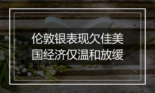 伦敦银表现欠佳美国经济仅温和放缓