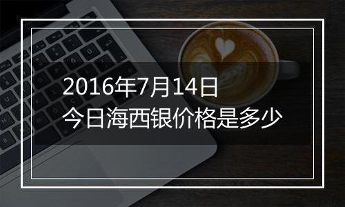 2016年7月14日今日海西银价格是多少