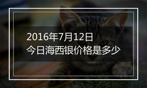 2016年7月12日今日海西银价格是多少