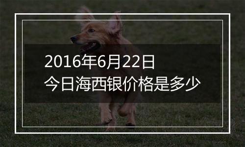 2016年6月22日今日海西银价格是多少