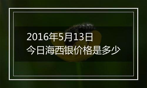 2016年5月13日今日海西银价格是多少