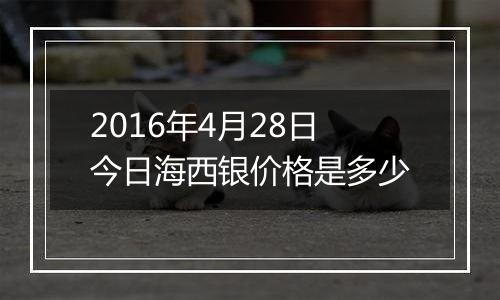 2016年4月28日今日海西银价格是多少