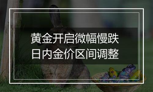 黄金开启微幅慢跌 日内金价区间调整