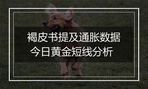 褐皮书提及通胀数据 今日黄金短线分析