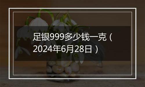 足银999多少钱一克（2024年6月28日）