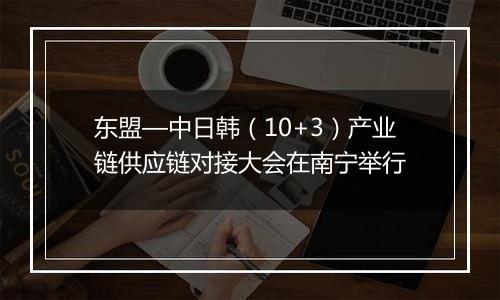 东盟—中日韩（10+3）产业链供应链对接大会在南宁举行