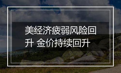 美经济疲弱风险回升 金价持续回升