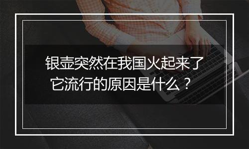 银壶突然在我国火起来了 它流行的原因是什么？