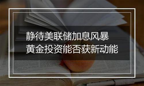 静待美联储加息风暴 黄金投资能否获新动能