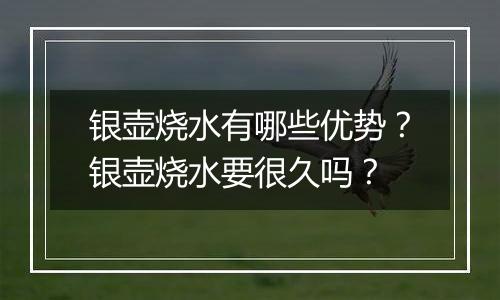 银壶烧水有哪些优势？银壶烧水要很久吗？