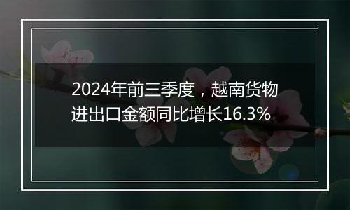 2024年前三季度，越南货物进出口金额同比增长16.3%