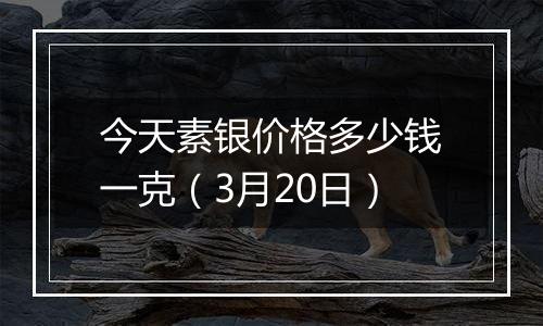 今天素银价格多少钱一克（3月20日）