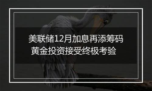 美联储12月加息再添筹码 黄金投资接受终极考验