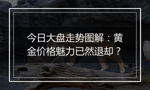 今日大盘走势图解：黄金价格魅力已然退却？