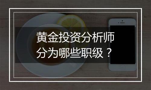 黄金投资分析师分为哪些职级？