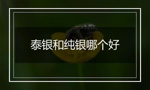 泰银和纯银哪个好