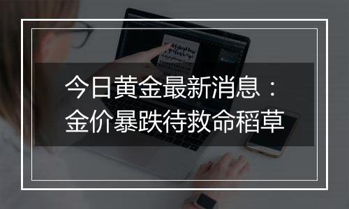 今日黄金最新消息：金价暴跌待救命稻草