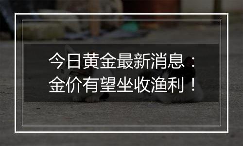 今日黄金最新消息：金价有望坐收渔利！