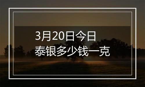 3月20日今日泰银多少钱一克