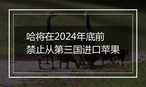 哈将在2024年底前禁止从第三国进口苹果