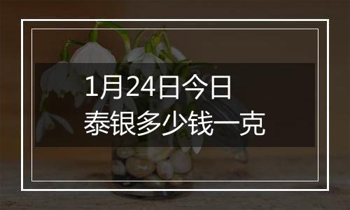 1月24日今日泰银多少钱一克