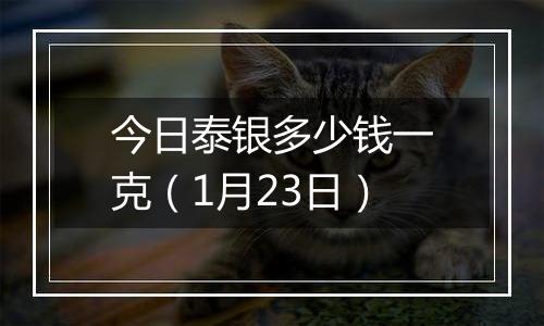 今日泰银多少钱一克（1月23日）