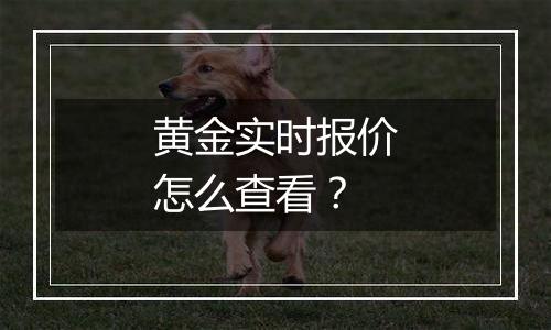 黄金实时报价怎么查看？