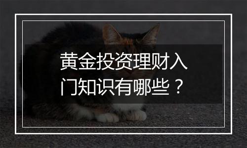 黄金投资理财入门知识有哪些？