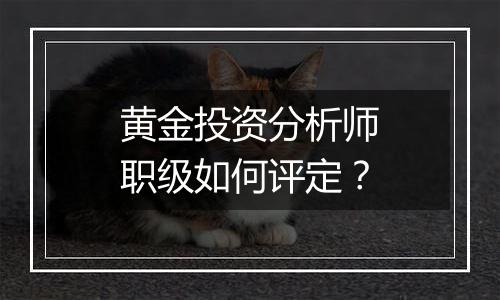 黄金投资分析师职级如何评定？