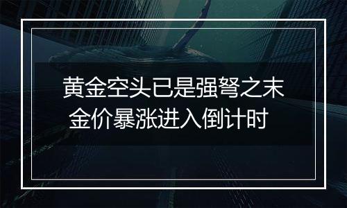 黄金空头已是强弩之末 金价暴涨进入倒计时