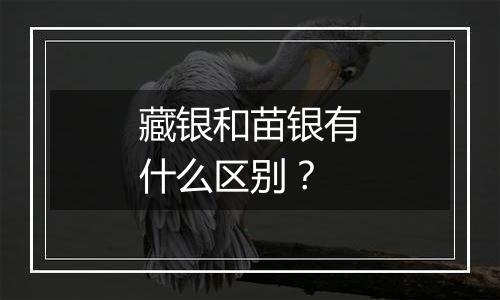 藏银和苗银有什么区别？