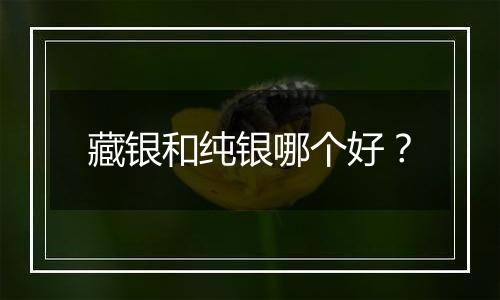 藏银和纯银哪个好？