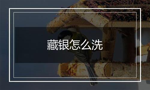 藏银怎么洗