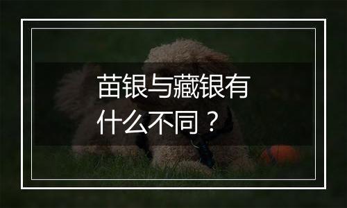 苗银与藏银有什么不同？