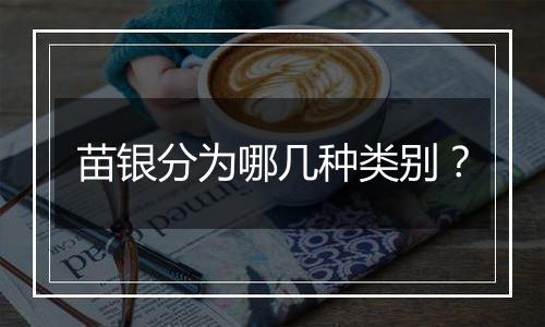 苗银分为哪几种类别？