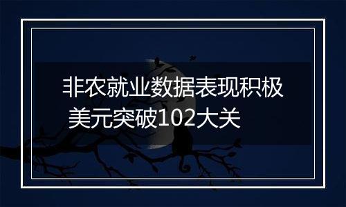 非农就业数据表现积极 美元突破102大关