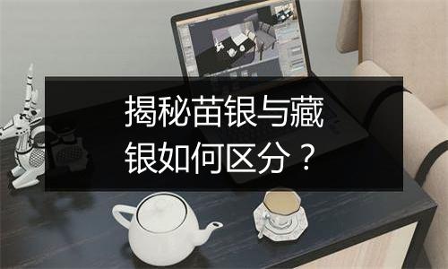 揭秘苗银与藏银如何区分？